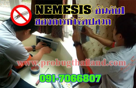 ระบบเหยื่อล่อเนเมซิสเพื่อกำจัดปลวกคืออะไร
