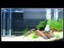 61 AquariumZ