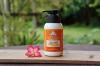 น้ำมันนวดตัวอโรม่า กลิ่นขิง (Aroma Therapy Massage Oil) GINGER