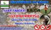 สอบถามฟรี-สำรวจฟรี รับกำจัดปลวกทั่วกรุงเทพฯ ปริมลฑลและจังหวัดใกล้เคียง