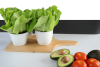 Delish Foods